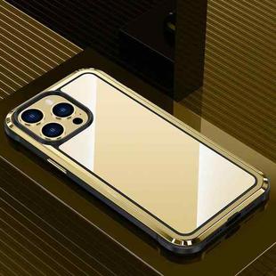For iPhone 13 Pro Steel Armour Series Metal + PC Phone Case(Gold)
