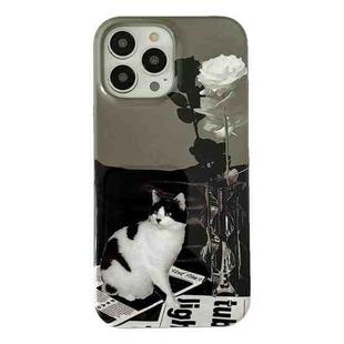 For iPhone 14 Pro Max 2 in 1 Detachable Painted Pattern Phone Case(Illustration Cat)