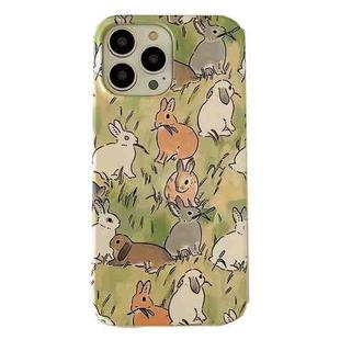 For iPhone 14 Pro 2 in 1 Detachable Painted Pattern Phone Case(Grazing Rabbit)