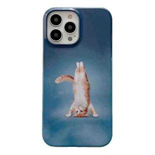 For iPhone 13 Pro Max 2 in 1 Detachable Painted Pattern Phone Case(Handstand Kitten)