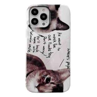 For iPhone 13 Pro 2 in 1 Detachable Painted Pattern Phone Case(Cat)