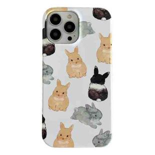 For iPhone 12 Pro Max 2 in 1 Detachable Painted Pattern Phone Case(Cute Bunny)