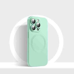 For iPhone 12 CD Texture MagSafe Liquid Silicone Phone Case(Mint Green)