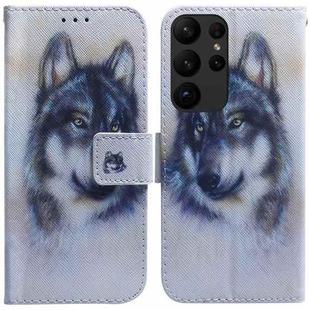 For Samsung Galaxy S23 Ultra 5G Coloured Drawing Flip Leather Phone Case(White Wolf)