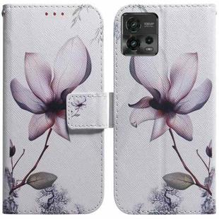 For Motorola Moto G72 Coloured Drawing Flip Leather Phone Case(Magnolia)