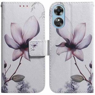 For OPPO A17 Coloured Drawing Flip Leather Phone Case(Magnolia)