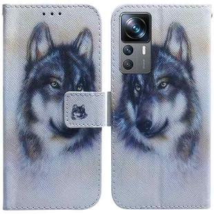 For Xiaomi 12T Pro Coloured Drawing Flip Leather Phone Case(White Wolf)