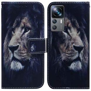 For Xiaomi 12T Pro Coloured Drawing Flip Leather Phone Case(Lion)