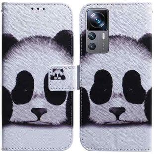 For Xiaomi 12T Pro Coloured Drawing Flip Leather Phone Case(Panda)
