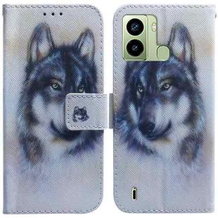 For Tecno Pop 6 Fingerprint Coloured Drawing Flip Leather Phone Case(White Wolf)