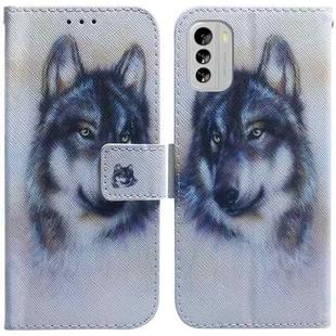 For Nokia G60 Coloured Drawing Flip Leather Phone Case(White Wolf)