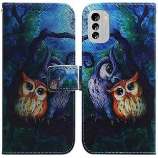 For Nokia G60 Coloured Drawing Flip Leather Phone Case(Oil Painting Owl)