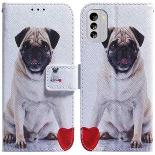 For Nokia G60 Coloured Drawing Flip Leather Phone Case(Pug)