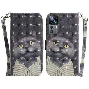 For Xiaomi 12T Pro 3D Colored Pattern Flip Leather Phone Case(Hug Cat)
