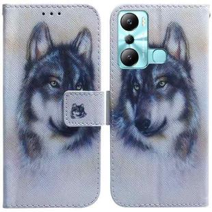 For Infinix Hot 20i Coloured Drawing Flip Leather Phone Case(White Wolf)