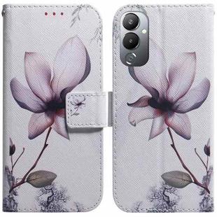 For Tecno Pova 4 Coloured Drawing Flip Leather Phone Case(Magnolia Flower)