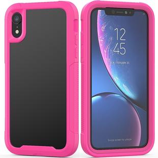 For iPhone XR Transparent Series Frame TPU + PC Dust-proof Scratch-proof Drop-proof Protective Case(Rose Red)