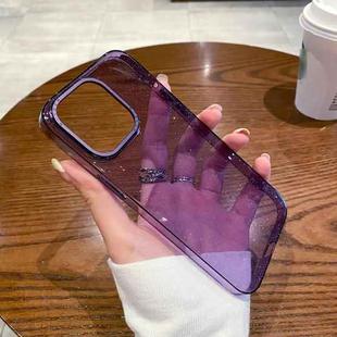 For iPhone 14 Pro Glitter Powder Transparent TPU Phone Case(Purple)