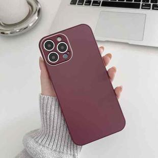 For iPhone 11 Pro Skin Frosted Tempered Glass Phone Case(Red)