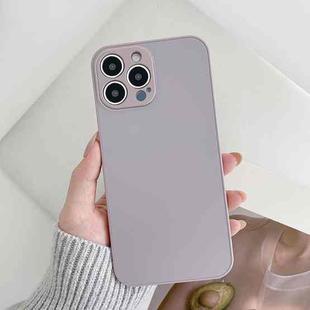 For iPhone 11 Pro Skin Frosted Tempered Glass Phone Case(Purple)