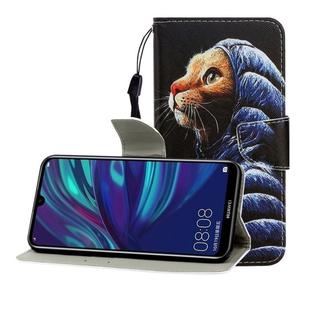 For Huawei Enjoy 9 Colored Drawing Horizontal Flip Leather Case with Holder & Card Slot & Wallet(Down Jacket Cat)