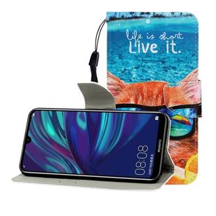 For Huawei Enjoy 9 Colored Drawing Horizontal Flip Leather Case with Holder & Card Slot & Wallet(Underwater Cat)