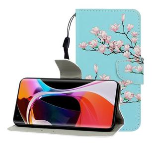 For Xiaomi 10 / 10 Pro Colored Drawing Horizontal Flip Leather Case with Holder & Card Slot & Wallet(Magnolia)