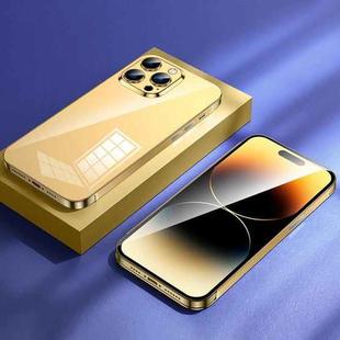 For iPhone 14 Pro Max Colorful Stainless Steel Phone Case(Gold)