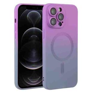 For iPhone 12 Pro Liquid TPU Silicone Gradient MagSafe Phone Case(Purple)