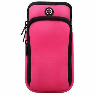 For Smart Phones Below 6.0 inch Zipper Double Pocket Multi Function Sports Arm Bag with Earphone Hole(Pink)