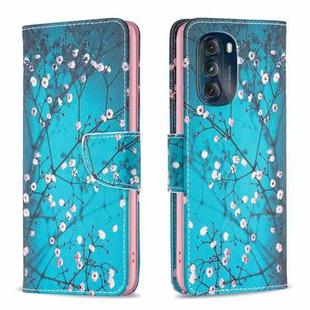 For Motorola Moto G 5G 2023 Colored Drawing Pattern Leather Phone Case(Plum Blossom)