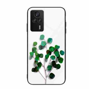 For Xiaomi Redmi K60E Colorful Painted Glass Phone Case(Sapling)
