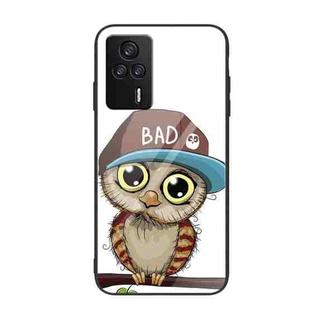 For Xiaomi Redmi K60E Colorful Painted Glass Phone Case(Owl)