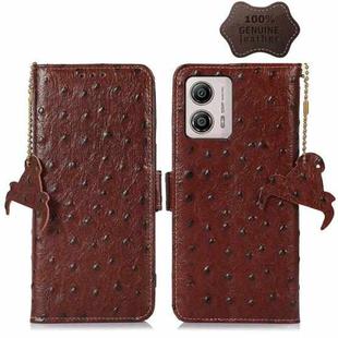 For Motorola Moto G53 5G / G13 / G23 Ostrich Pattern Genuine Leather RFID Phone Case(Coffee)