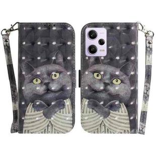 For Xiaomi Redmi Note 12 Pro 5G 3D Colored Horizontal Flip Leather Phone Case(Hug Cat)