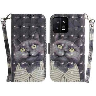 For Xiaomi 13 5G 3D Colored Horizontal Flip Leather Phone Case(Hug Cat)