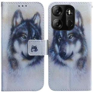 For Tecno Spark Go 2023 / Pop 7 Pro Coloured Drawing Flip Leather Phone Case(White Wolf)