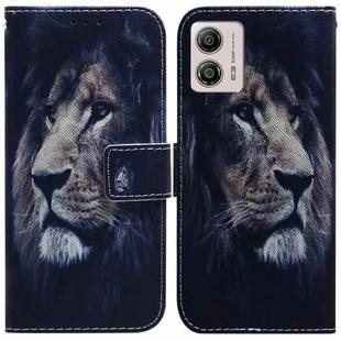 For Motorola Moto G13 / G23 / G53 Coloured Drawing Flip Leather Phone Case(Lion)