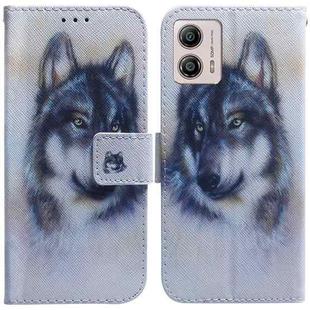 For Motorola Moto G13 / G23 / G53 Coloured Drawing Flip Leather Phone Case(White Wolf)