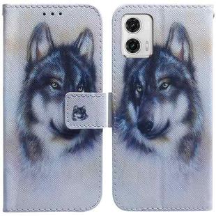 For Motorola Moto G73 Coloured Drawing Flip Leather Phone Case(White Wolf)