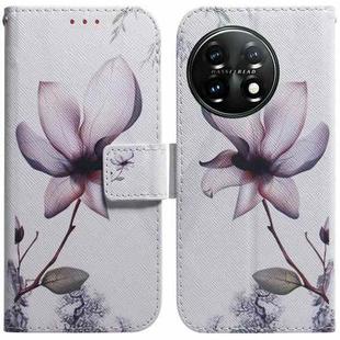For OnePlus 11 Coloured Drawing Flip Leather Phone Case(Magnolia)