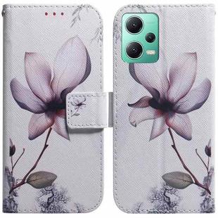 For Xiaomi Redmi Note 12 5G Coloured Drawing Flip Leather Phone Case(Magnolia)