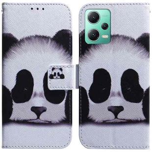 For Xiaomi Redmi Note 12 5G Coloured Drawing Flip Leather Phone Case(Panda)