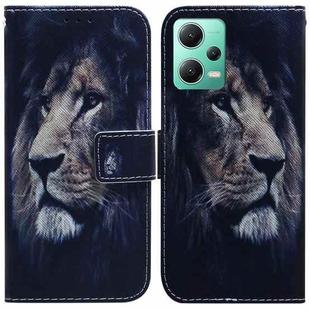 For Xiaomi Redmi Note 12 5G Coloured Drawing Flip Leather Phone Case(Lion)
