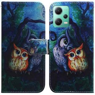 For Xiaomi Redmi Note 12 5G Coloured Drawing Flip Leather Phone Case(Oil Painting Owl)