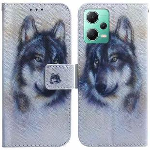 For Xiaomi Redmi Note 12 5G Coloured Drawing Flip Leather Phone Case(White Wolf)