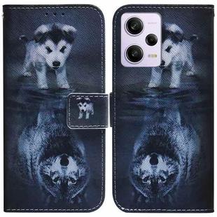 For Xiaomi Redmi Note 12 Pro 5G Coloured Drawing Flip Leather Phone Case(Wolf and Dog)