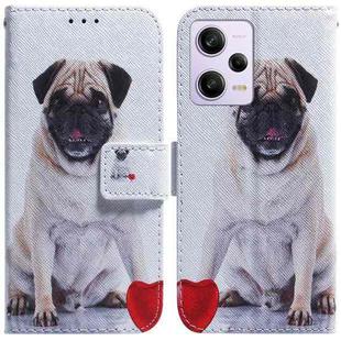 For Xiaomi Redmi Note 12 Pro 5G Coloured Drawing Flip Leather Phone Case(Pug)