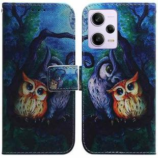 For Xiaomi Redmi Note 12 Pro 5G Coloured Drawing Flip Leather Phone Case(Oil Painting Owl)