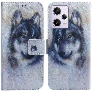 For Xiaomi Redmi Note 12 Pro 5G Coloured Drawing Flip Leather Phone Case(White Wolf)